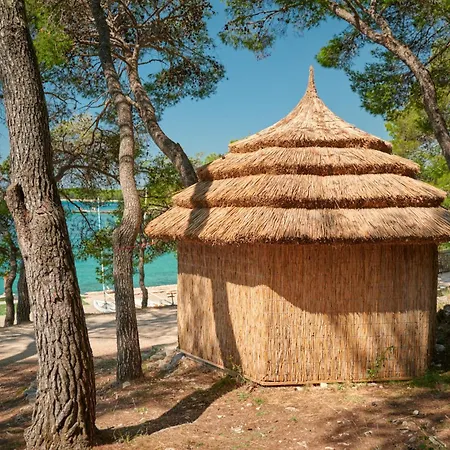 Pine Pakoštane