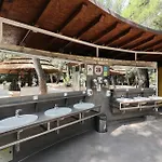 Pine باكوشتاني