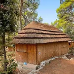 Pine 3* باكوشتاني