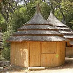 Pine 3*