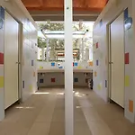 Pine باكوشتاني
