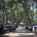 Pine 3* باكوشتاني