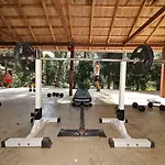 Pine منتزه العطل