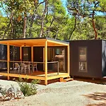 Pine 3*