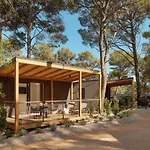 منتزه العطل Pine