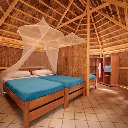 Ferienpark Pine Pakoštane