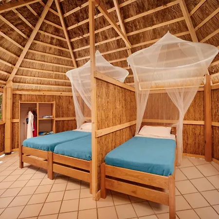 Parco vacanze Pine - Light