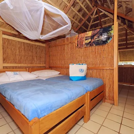 Holiday park Pine Pakostane