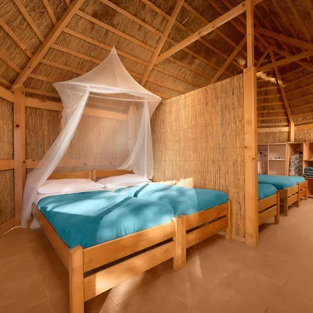 Parco vacanze Pine - Light