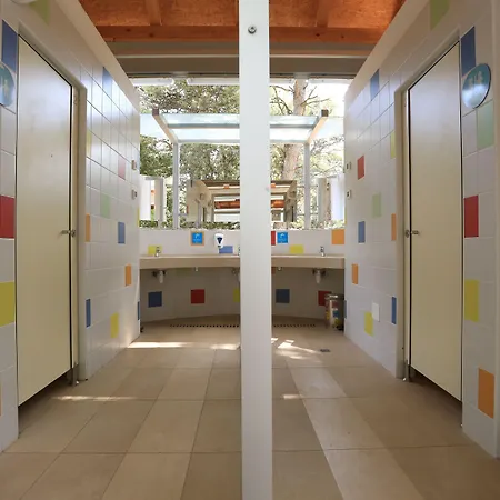 Pine باكوشتاني