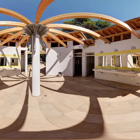 Pine باكوشتاني