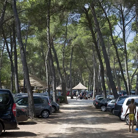Pine 3* Pakoštane