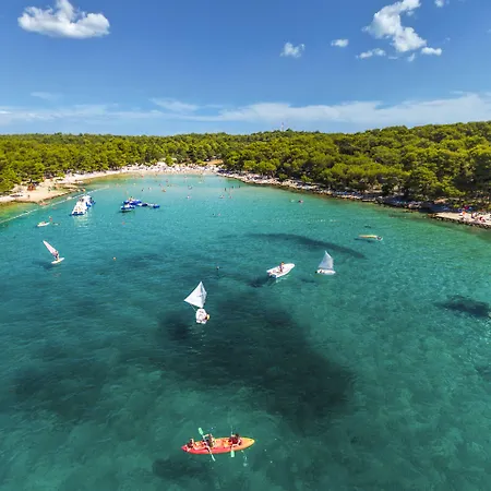 Tatil parkı Pine