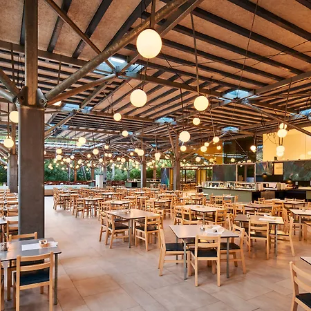 Pine Tatil parkı