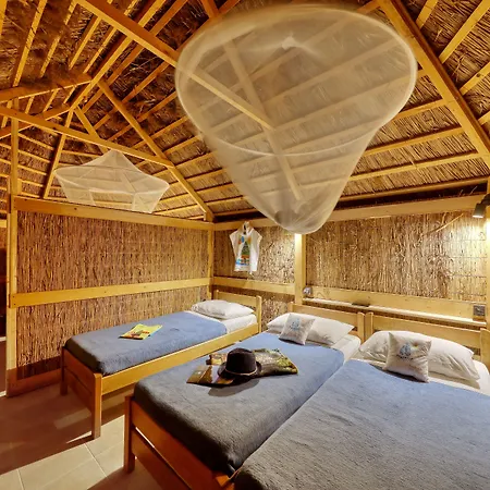 منتزه العطل Pine