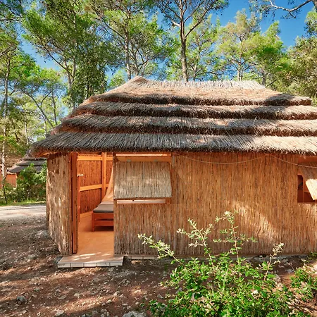 홀리데이파크 Pine