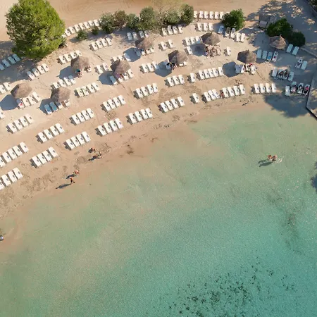 Pine منتزه العطل